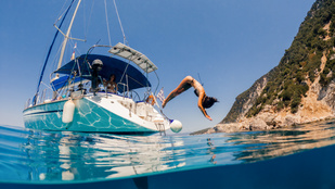 Thumbnail for 6803503