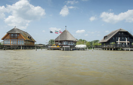 Thumbnail for 6803542