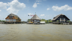 Thumbnail for 6803542