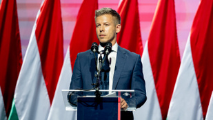 Thumbnail for 6803546