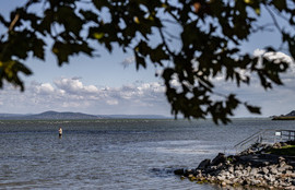 Thumbnail for 6803609