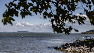 Thumbnail for 6803609