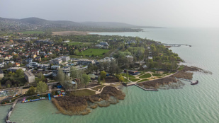 Thumbnail for 6803627