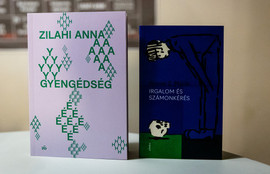 Thumbnail for 6803631