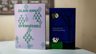 Thumbnail for 6803631