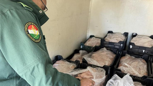 Thumbnail for 6803707