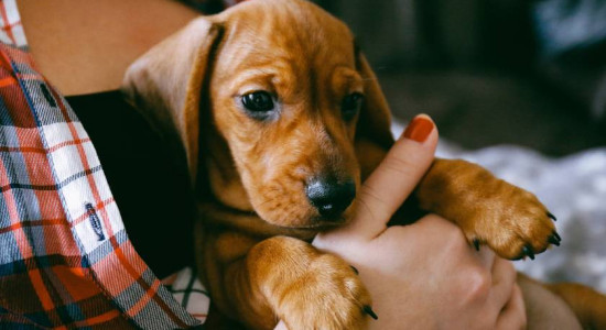 Thumbnail for 6803778