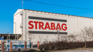 Thumbnail for 6803784