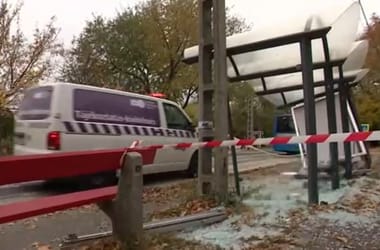 Thumbnail for 6803866