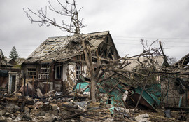 Thumbnail for 6803961