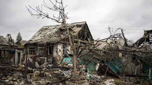 Thumbnail for 6803961