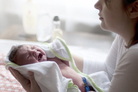 Thumbnail for 6804002