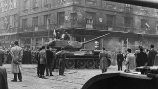 Thumbnail for 6804038