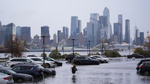 Thumbnail for 6804087