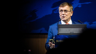 Thumbnail for 6804144