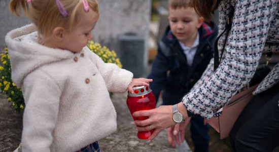 Thumbnail for 6804229