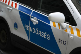 Thumbnail for 6804248