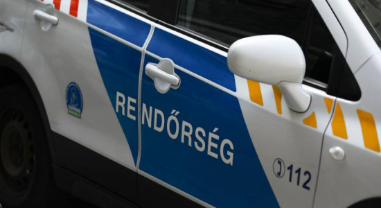 Thumbnail for 6804248