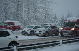 Thumbnail for 6804306