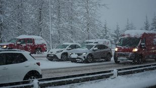 Thumbnail for 6804306