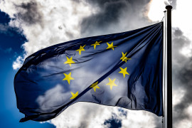 Thumbnail for 6804313