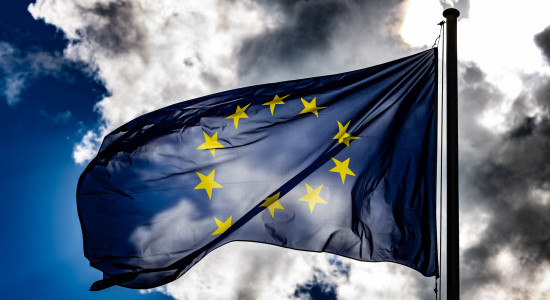 Thumbnail for 6804313