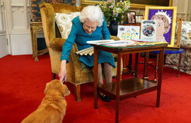 Thumbnail for 6804388