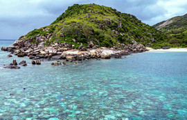 Thumbnail for 6804589