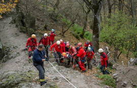 Thumbnail for 6804642