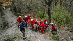 Thumbnail for 6804642