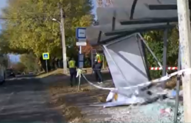 Thumbnail for 6804651