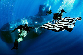 Thumbnail for 6804653