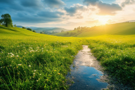 Thumbnail for 6804669