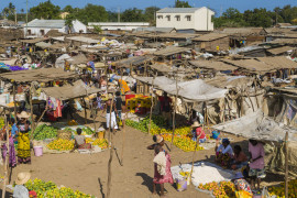 Thumbnail for 6804704