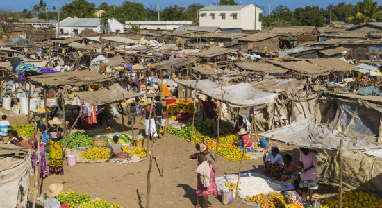 Thumbnail for 6804704