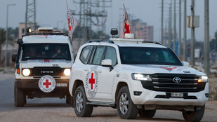 Thumbnail for 6804712