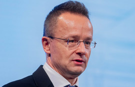 Thumbnail for 6804743