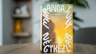 Thumbnail for 6804804