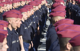 Thumbnail for 6804814