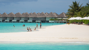 Thumbnail for 6804823