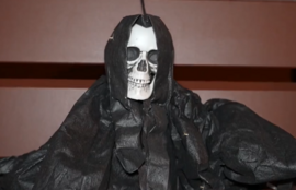 Thumbnail for 6804835