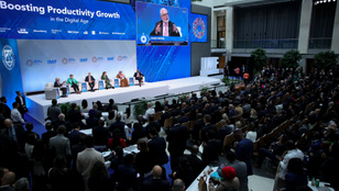 Thumbnail for 6804838