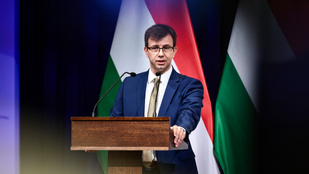 Thumbnail for 6804974