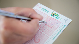 Thumbnail for 6805089