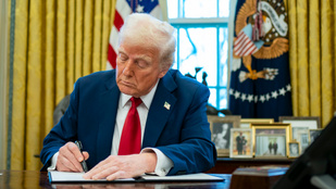 Thumbnail for 6805093