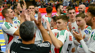 Thumbnail for 6805100