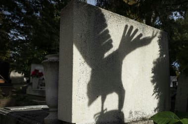 Thumbnail for 6805143