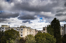 Thumbnail for 6805257