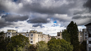 Thumbnail for 6805257