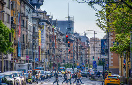 Thumbnail for 6805333